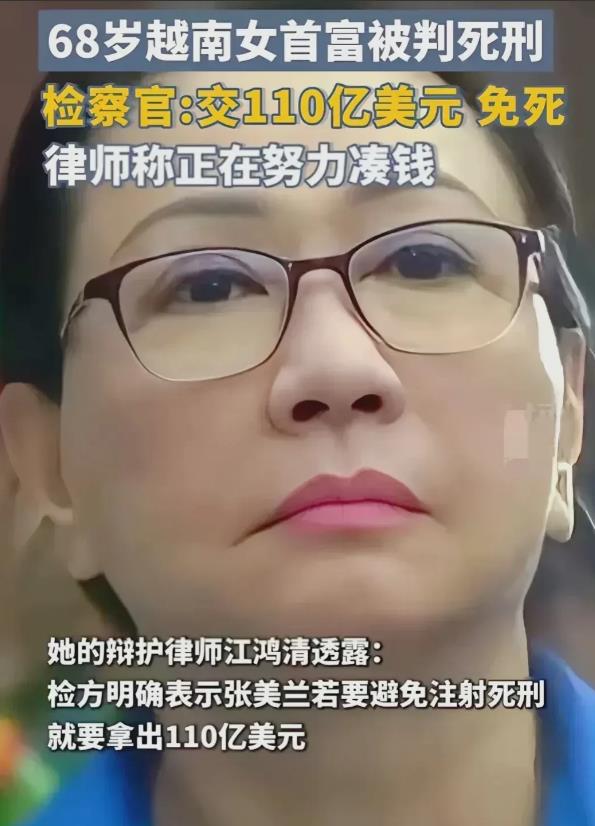 她 68 岁成为越南首富，在判决死刑当天检察官面对富婆当众提出一个要求，只要上交