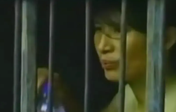 1987年，四川16岁少女杜淑芝中考落榜后离家出走，被山东一男子徐金启关小黑屋“