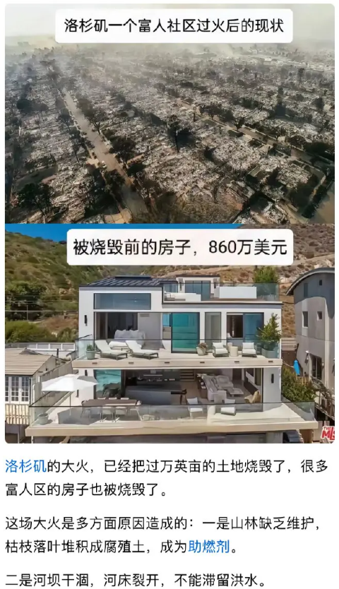 如果不是AI的图，保险公司要赔到破产。