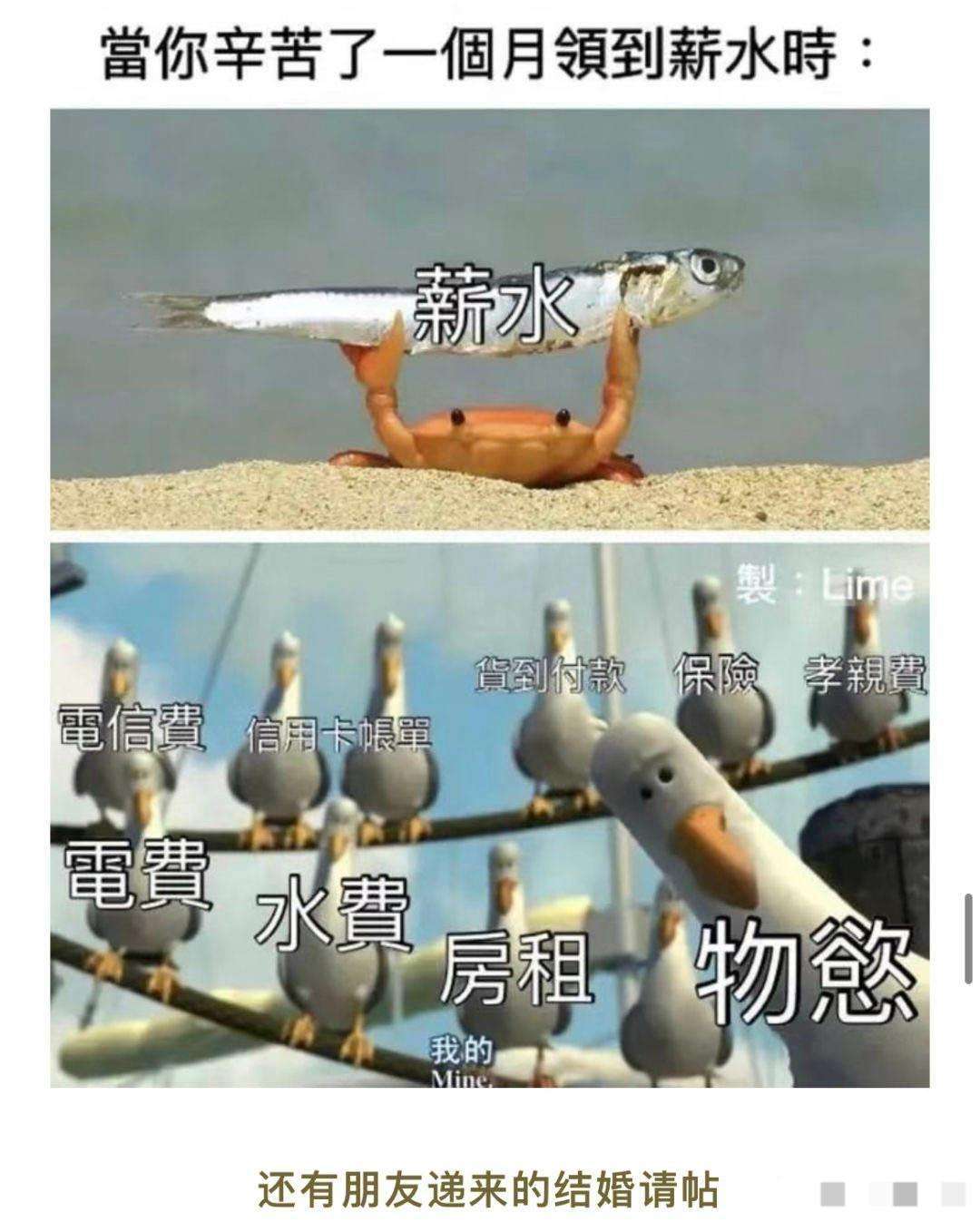所有人都惦记着我微微极少的工资