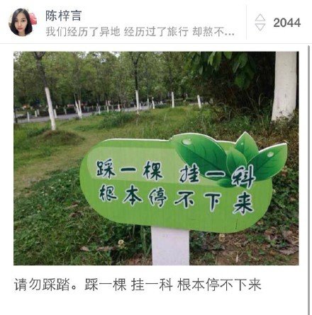 你们学校有没有什么令你赞不绝口的设计