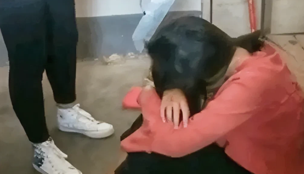 湖南郴州，离异男子网上招聘保姆当天，年轻女子声称自己是大学毕业会做家务、会辅导孩