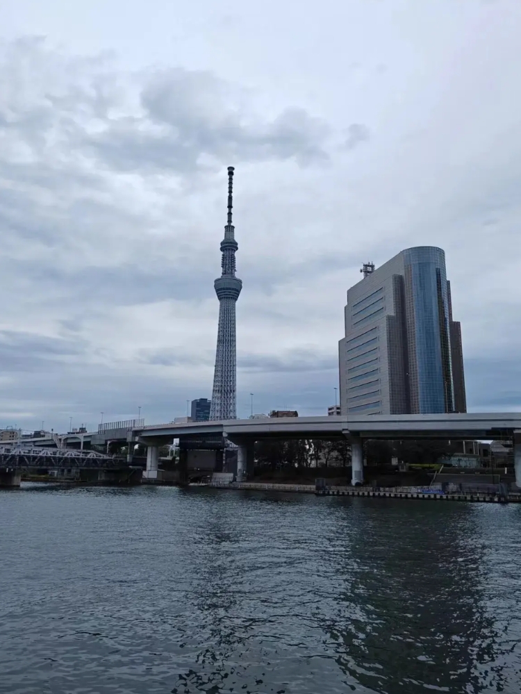 全年只有一个250赛事冠军却能年终前八且入围总决赛——这是WTA总决赛设立以来最