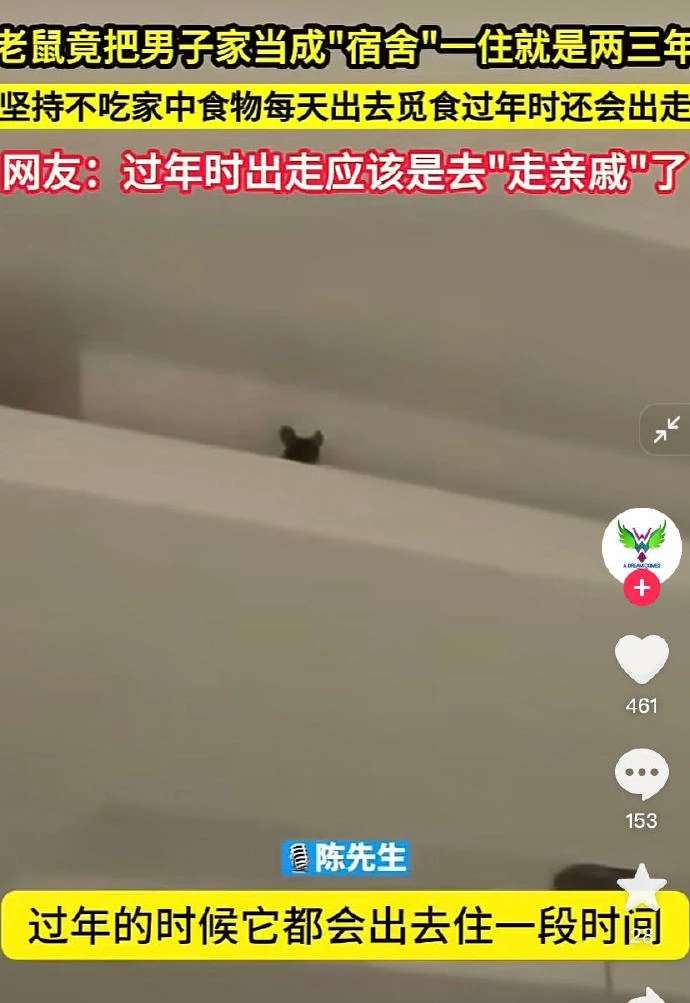 过年时出走应该是去“走亲戚”了