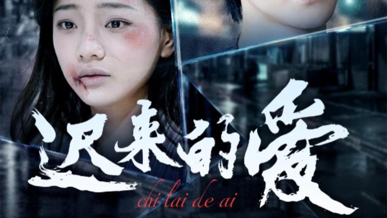 短剧在线观看《迟来的爱》完整版全集（63集）王钰臻、潘彦妃