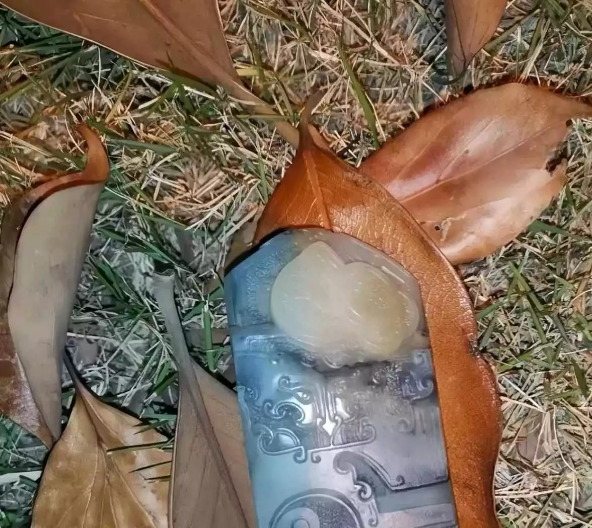 在楼下绿化带里捡到的，这是什么时候的东西呢