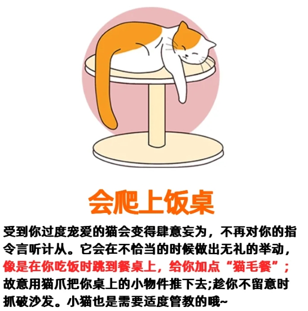 这都是度溺爱猫咪的后果！

快来看看你家猫咪有没有这些行为？