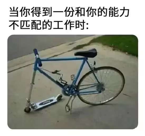 一点也不匹配