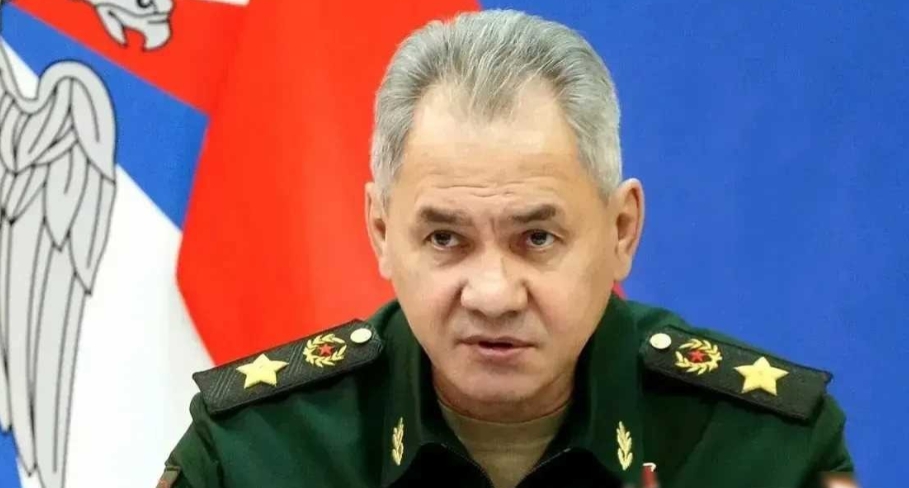 法国军队出征！德国军队出征！波兰军队出征！罗马尼亚雇佣军出征！短短几天内，一系列