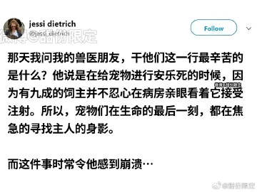 生命的最后 毛孩子的眼里也只有你… ​