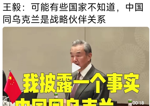 东大在乌克兰有1000多亿美元的投资，俄乌战争一切归零。
    中乌是是战略伙