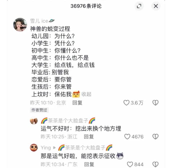 家养神兽的蜕变过程