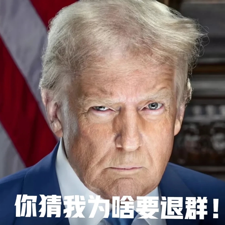 特没普上台后，说了句实话！

老特在会上狠批世卫组织，谭德塞这群人就是催要会费的