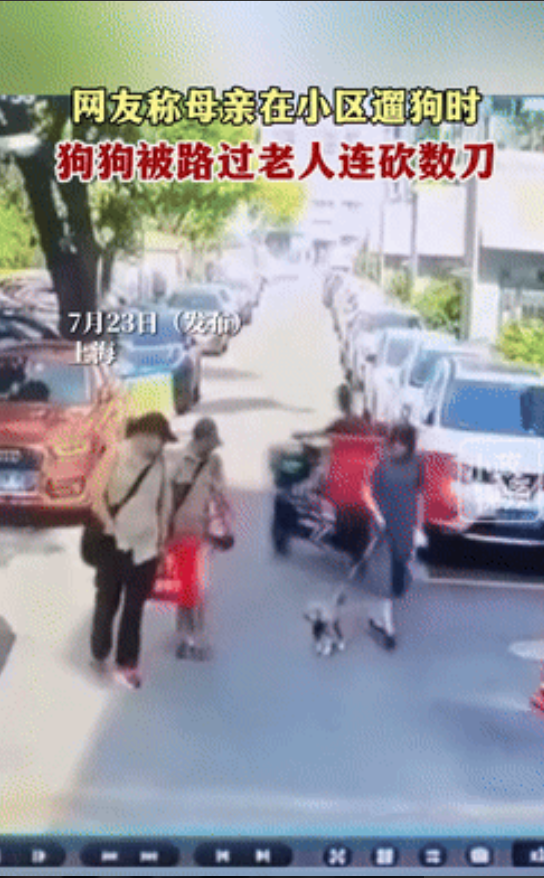 太吓人了！上海发生了一件事儿，一个女子在小区牵着小狗散步时，旁边的大爷突然掏出刀