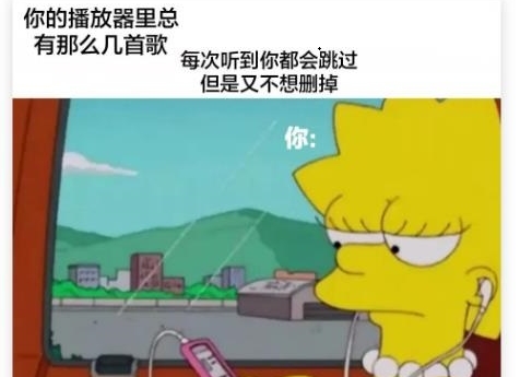 你的播放器里总有那么几首歌