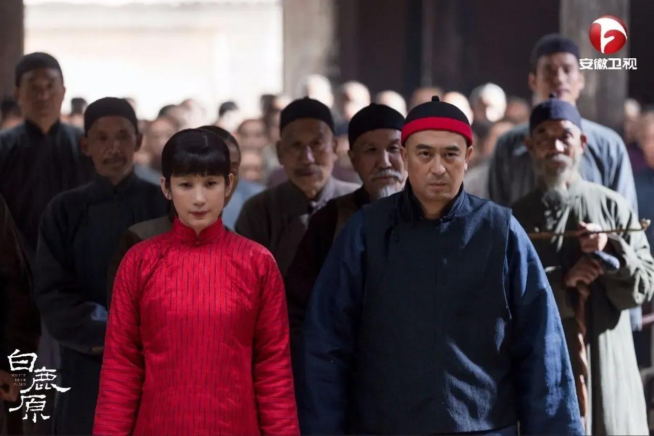 拍完《白鹿原》后，秦海璐面对记者语出惊人：“以后剧本再好，片酬再高，也不和张嘉译