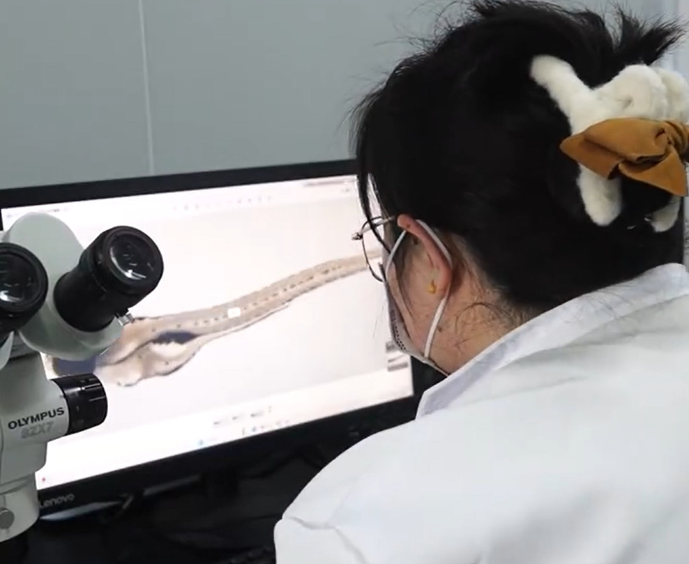 90后女博士的工作日常是摸鱼，她是真摸鱼，不是假的