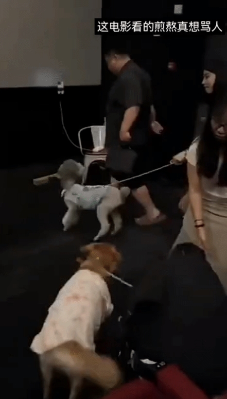不要告诉我这是电影院？？？