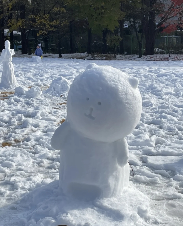 韩国是有堆雪人补习班吗？

梨大招生标准是不是有要会堆雪人这一项，这里好像经历了