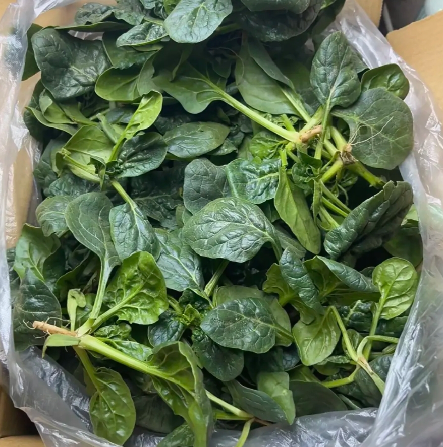 隔壁阿姨说不要钱给我做全屋的保洁，公公听后还是仔细一些好，我和婆婆会心一笑，临走
