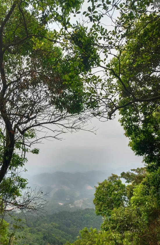 累是不足以形容我今天的feel,爬山一个半小时，找太公两小时，又陡又荒芜又热又渴