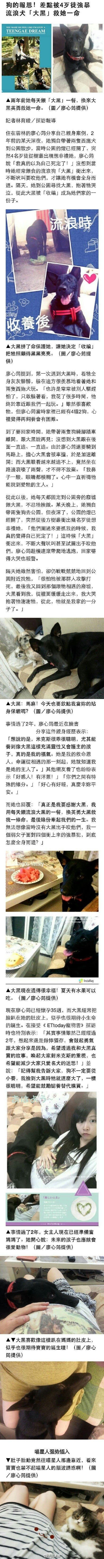 流浪狗大黑奋勇解围