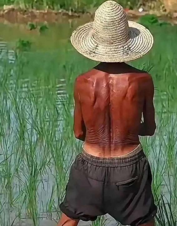 这照片拍得太绝了，感觉拿奖没跑的！可惜的是，这么好的作品竟然还没个响亮的名字。我