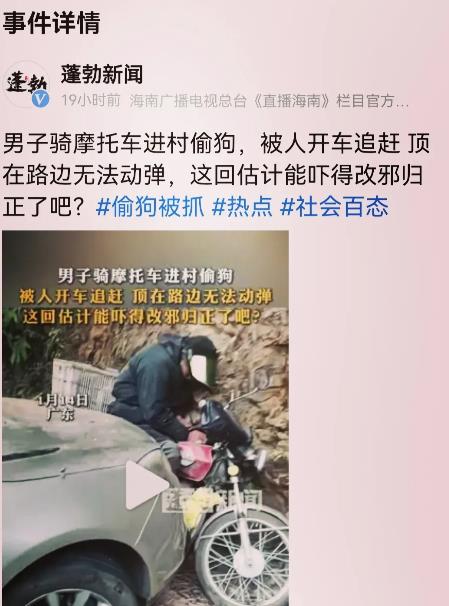 男子骑摩托车进村偷狗被小汽车追上顶在路边

男子骑摩托车进村偷狗，村民发现后立即