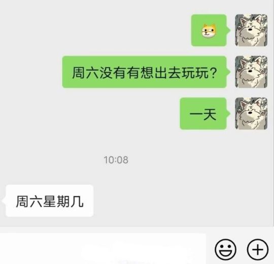 一天天的整无语了
