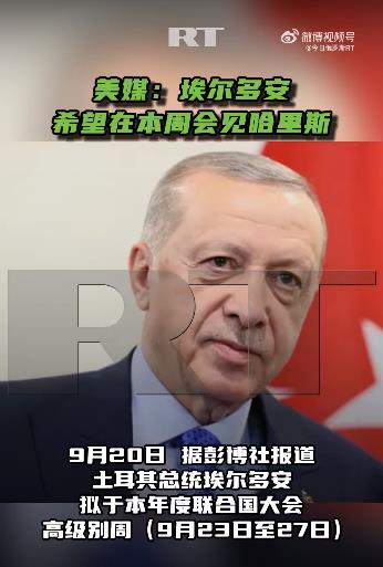美媒：埃尔多安希望在本周会见哈里斯