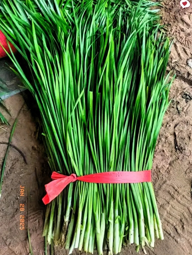难道过年的物价没人管了吗？
大家知道吗？在我们北方腊月二十九中午和年三十晚上都是