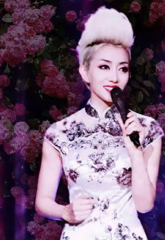 张丽整容变成梅艳芳