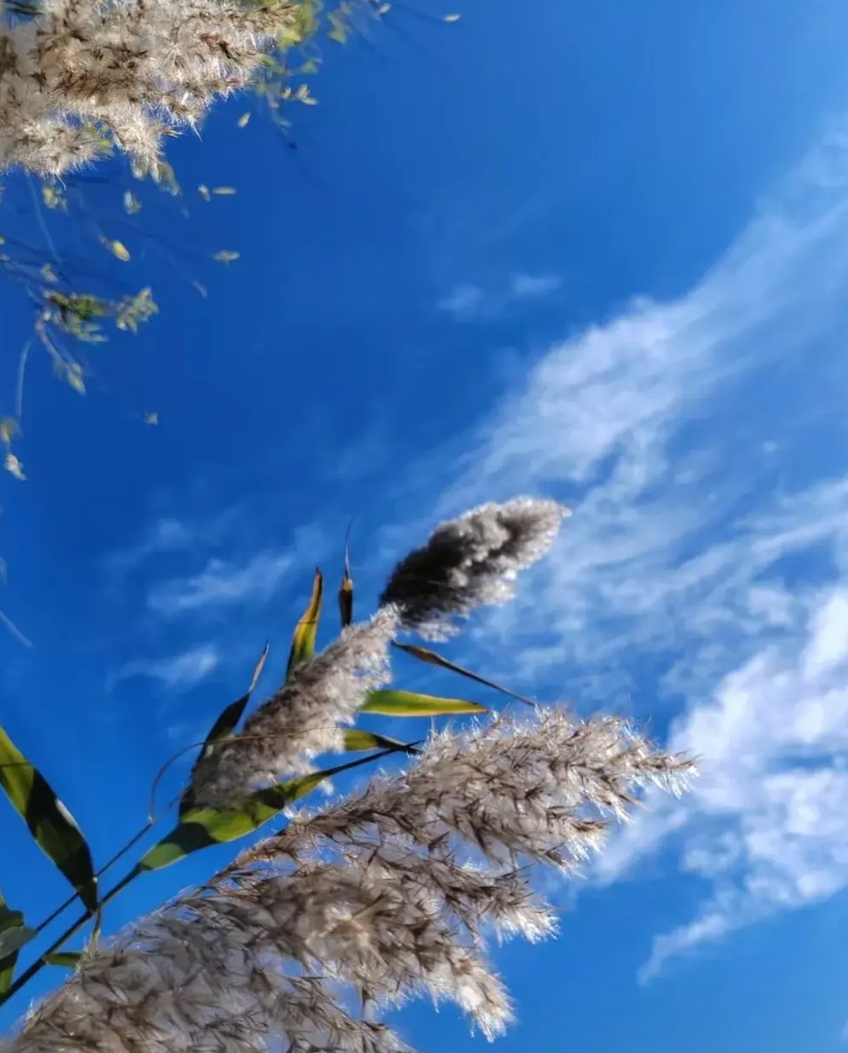 私立高中管理的严厉程度超乎你的想象。朋友的侄女在当地的一家私立高中就读，回来说，