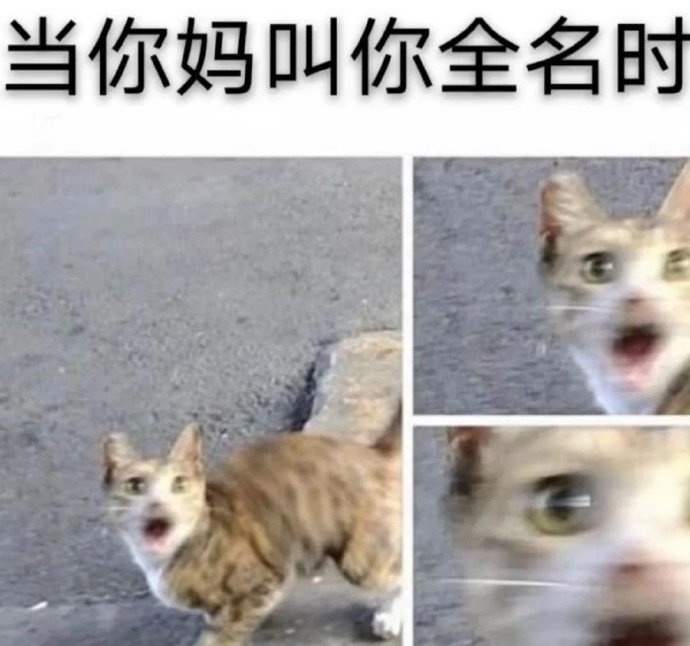 一个比一个真实