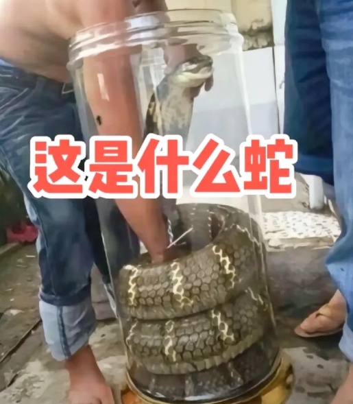 这敢喝吗？[捂脸][捂脸][捂脸]