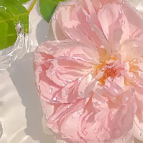 炫彩娱乐
