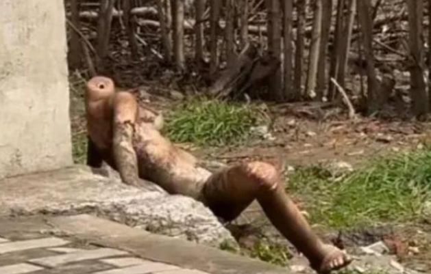 这是啥？[大笑][大笑][大笑]