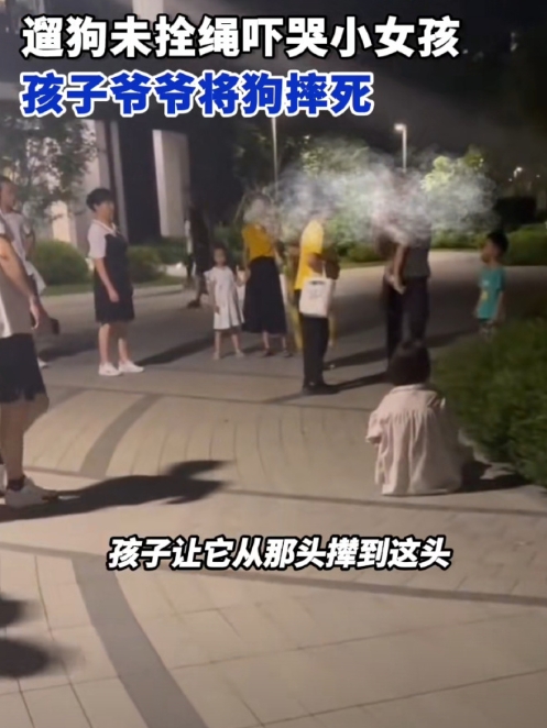 作为养狗人，不牵绳是不对，但一个老人你在孩子面子摔s狗，做的是不是过分了，

虽