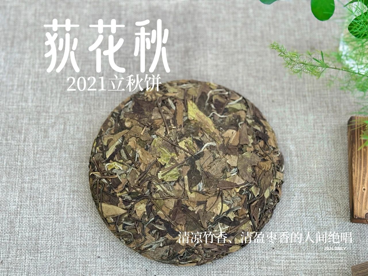 新手买老白茶，怎么避免买到做旧的茶？
