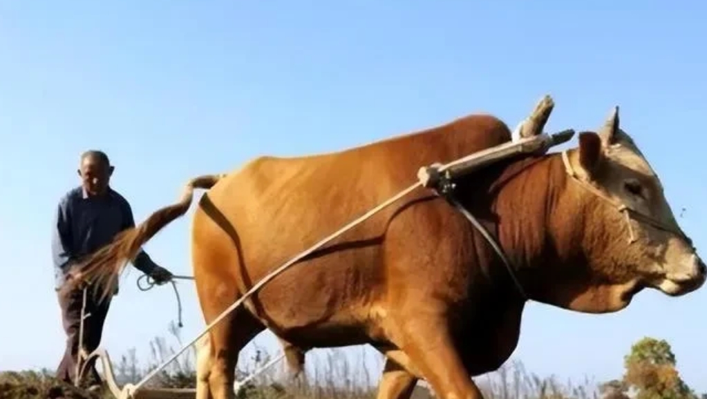 前天中午回老家。刚下车，门口本院的哥就说本院一个兄弟早上不在了。老公就赶紧去他家