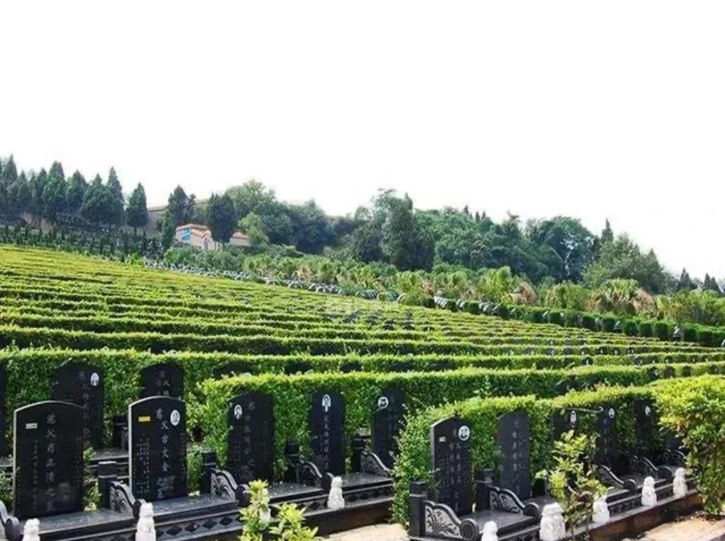 云南，一男子花15600元，为母亲选了一块墓地，10年后母亲去世，可当男子去安葬