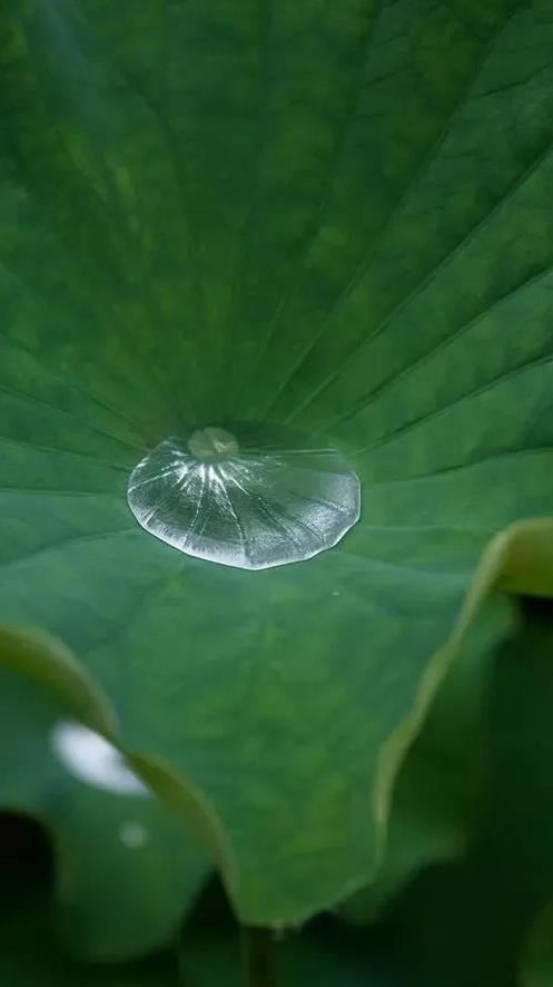 在这个世界上，不是所有合理的和美好的都能按照自己的愿望存在或实现。任何一份生命都