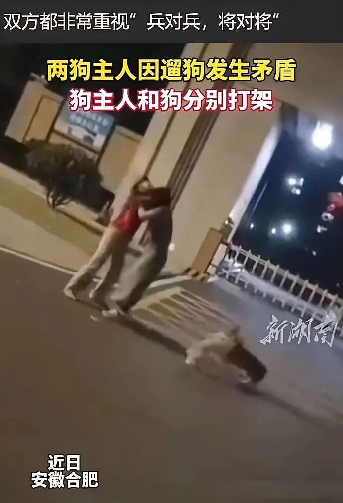 兵对兵，将对将