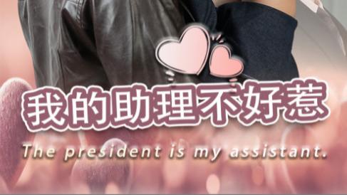 短剧在线观看《我的助理不好惹》完整版全集（30集）丁博洋
