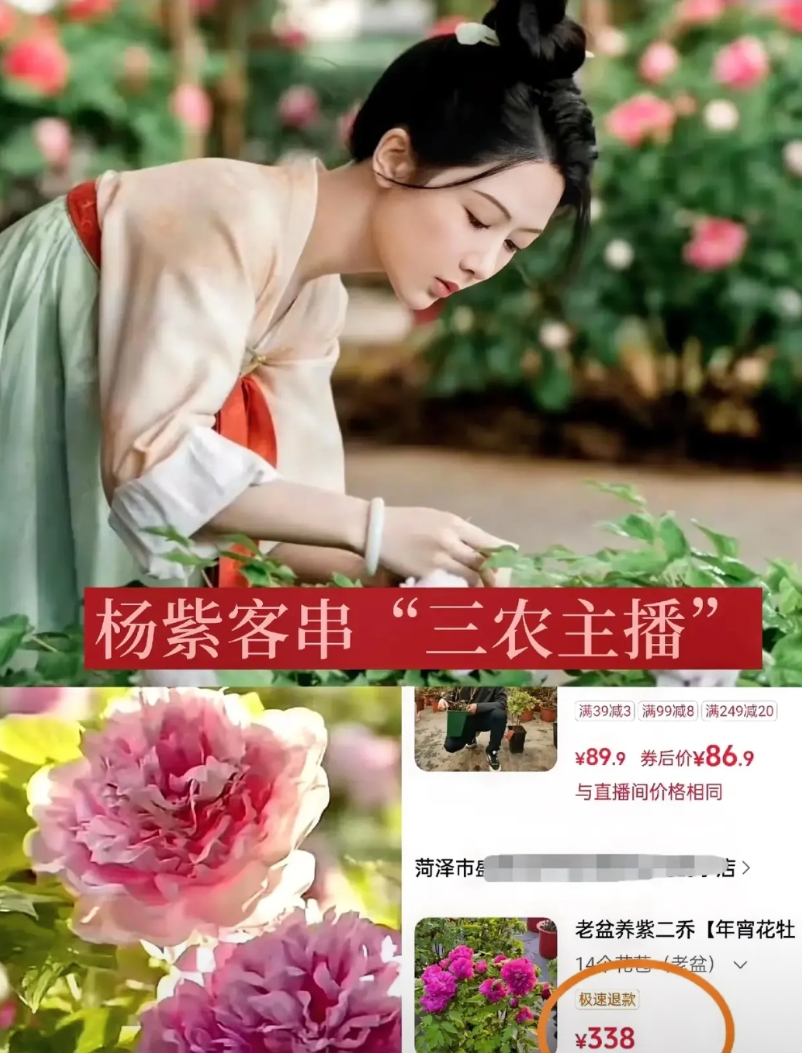 杨紫这算是跨界直播吗？

她演的热播剧《国色芳华》不仅爆了！

她还给山东菏泽带