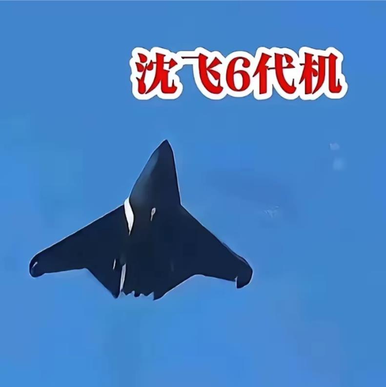 成飞和沈飞的下一代战斗机，都感觉采用了仿生设计，沈飞的下一代战斗机类似褐翅叉尾海