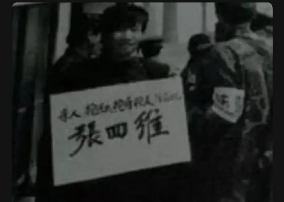 从1991年开始，黑龙江海林市陆续发生了多起枪击案，受害者多为警察，且凶手手段残