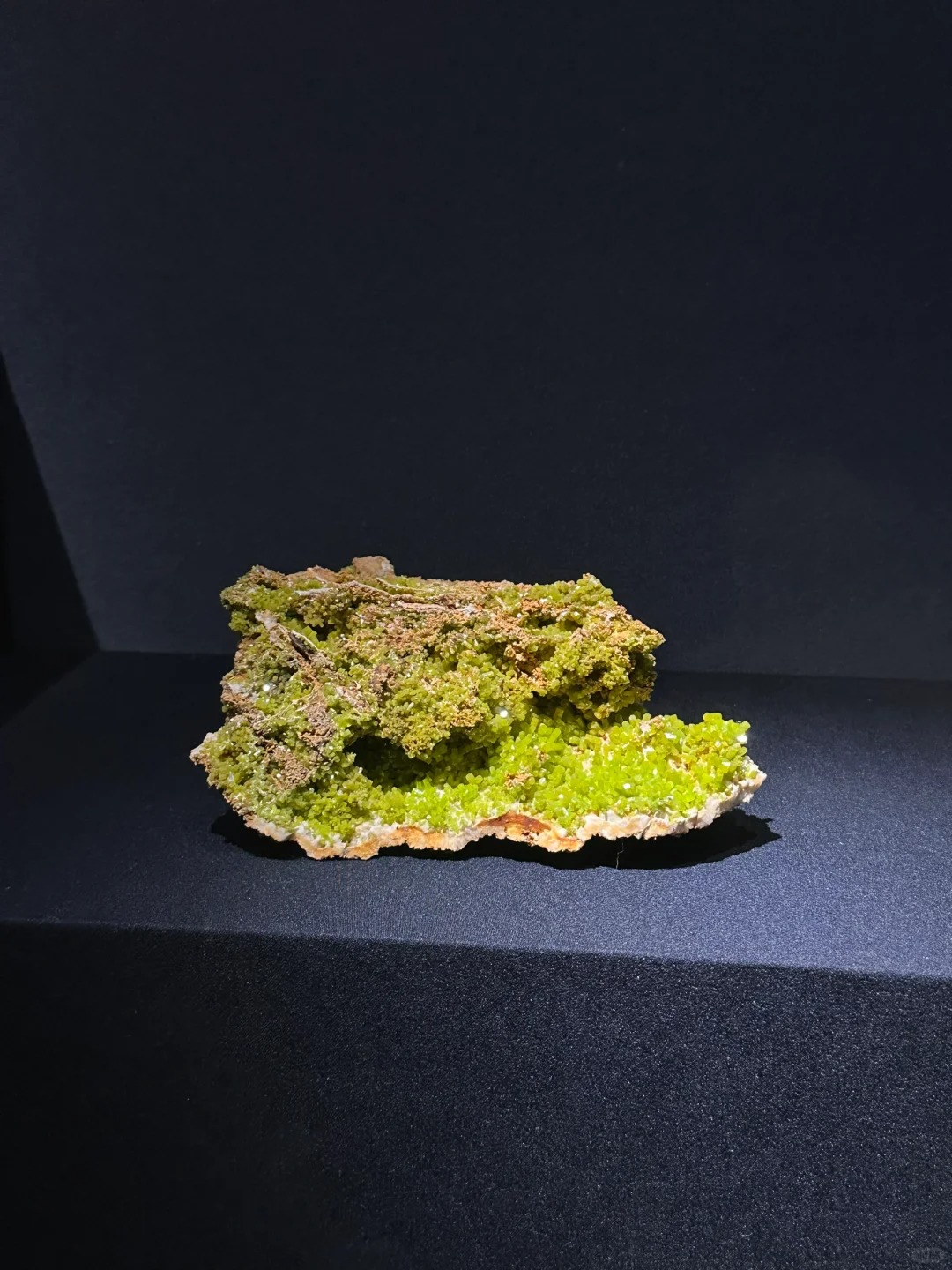 山东博物馆好美啊…
最爱的展馆