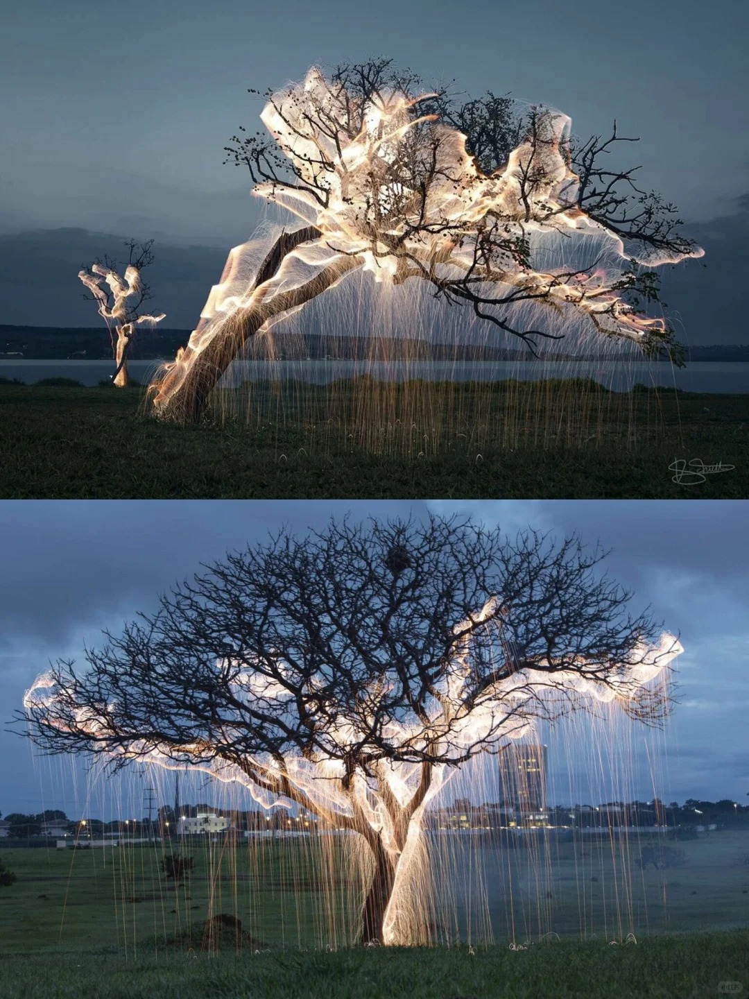 Vitor Schietti｜火树银花
巴西摄影师Vitor Schietti的