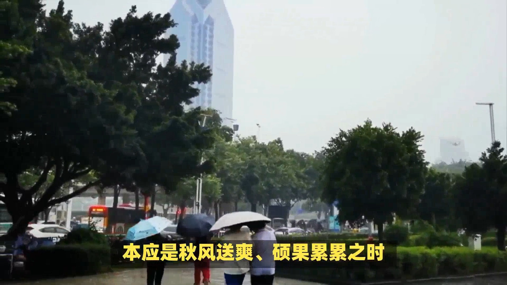 奥运冠军家遭台风劫，婵爸婵妈愁容满面，爷爷坚强拾残枝